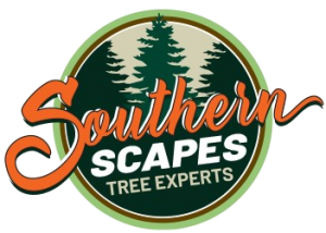 Southern Scapes Tree Experts